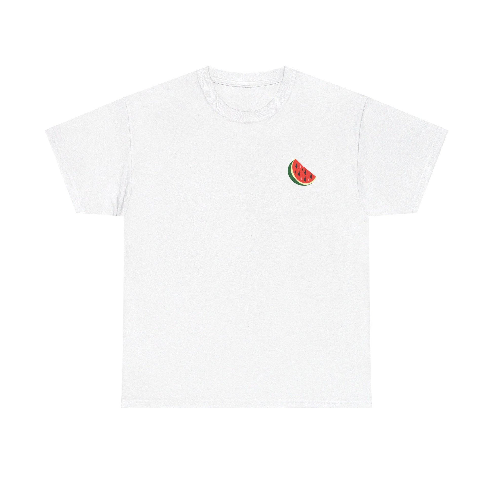 Support Palestine Tshirt, Pro Palestine Tee, Palestinian Solidarity Shirt, Free Palestine Top, Activist Apparel palestine Tshirt