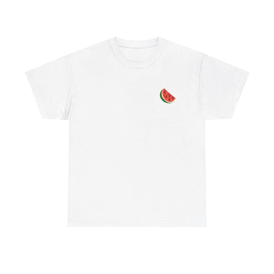 Support Palestine Tshirt, Pro Palestine Tee, Palestinian Solidarity Shirt, Free Palestine Top, Activist Apparel palestine Tshirt