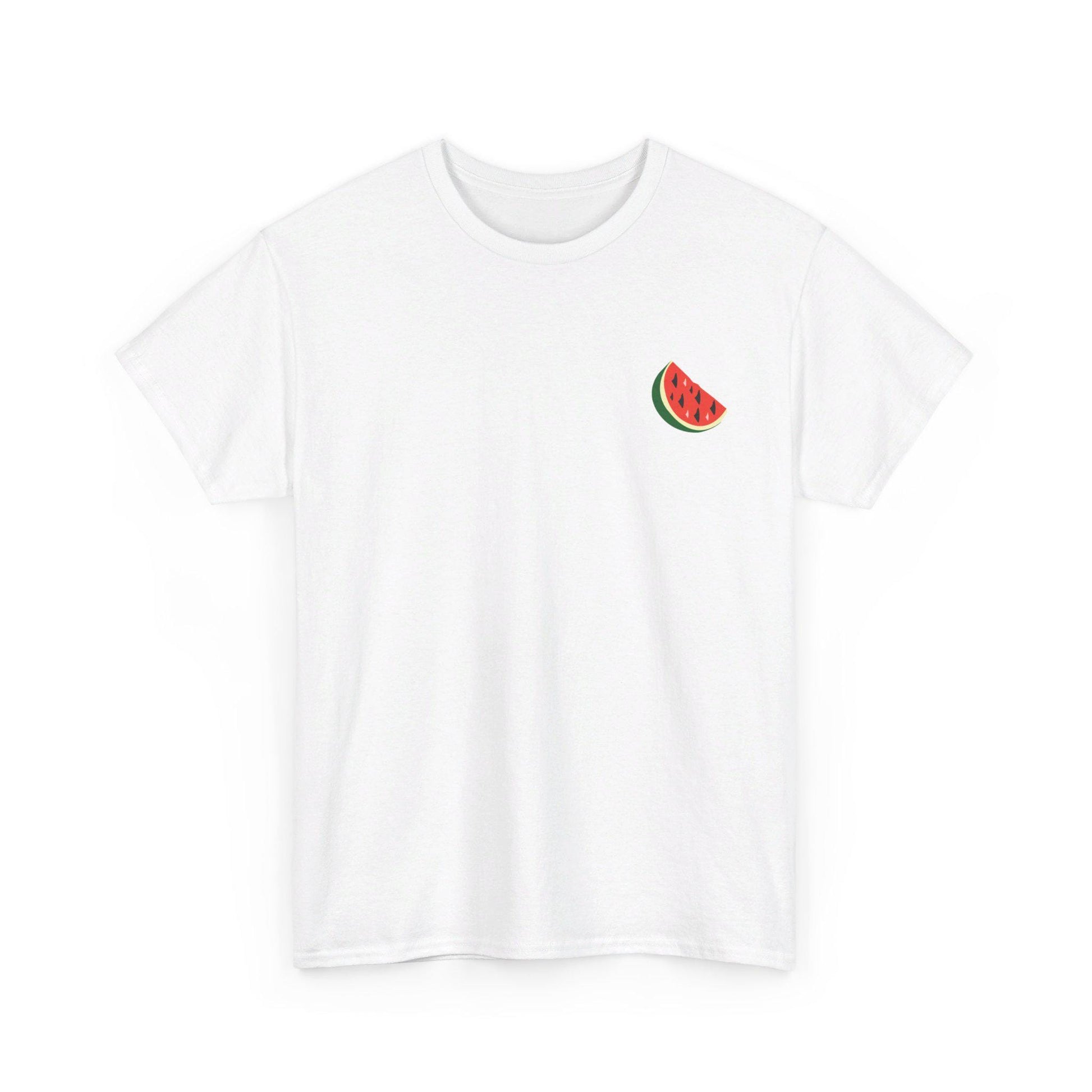 Support Palestine Tshirt, Pro Palestine Tee, Palestinian Solidarity Shirt, Free Palestine Top, Activist Apparel palestine Tshirt