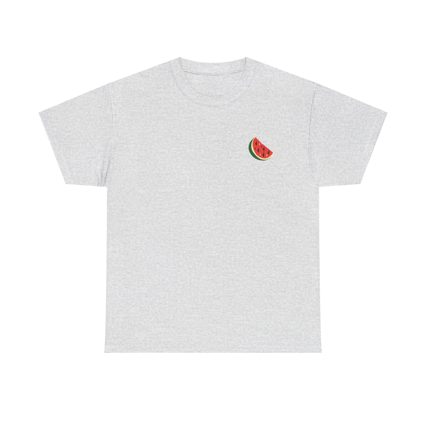 Support Palestine Tshirt, Pro Palestine Tee, Palestinian Solidarity Shirt, Free Palestine Top, Activist Apparel palestine Tshirt