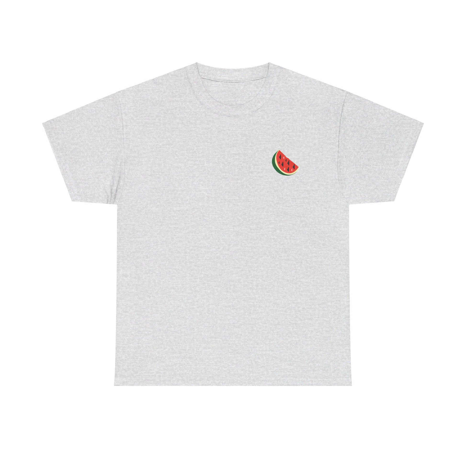 Support Palestine Tshirt, Pro Palestine Tee, Palestinian Solidarity Shirt, Free Palestine Top, Activist Apparel palestine Tshirt