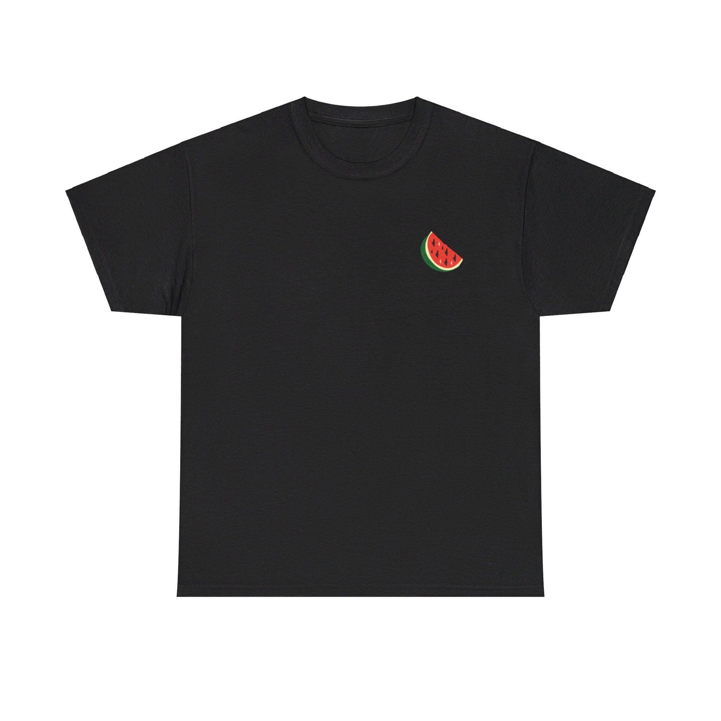 Support Palestine Tshirt, Pro Palestine Tee, Palestinian Solidarity Shirt, Free Palestine Top, Activist Apparel palestine Tshirt