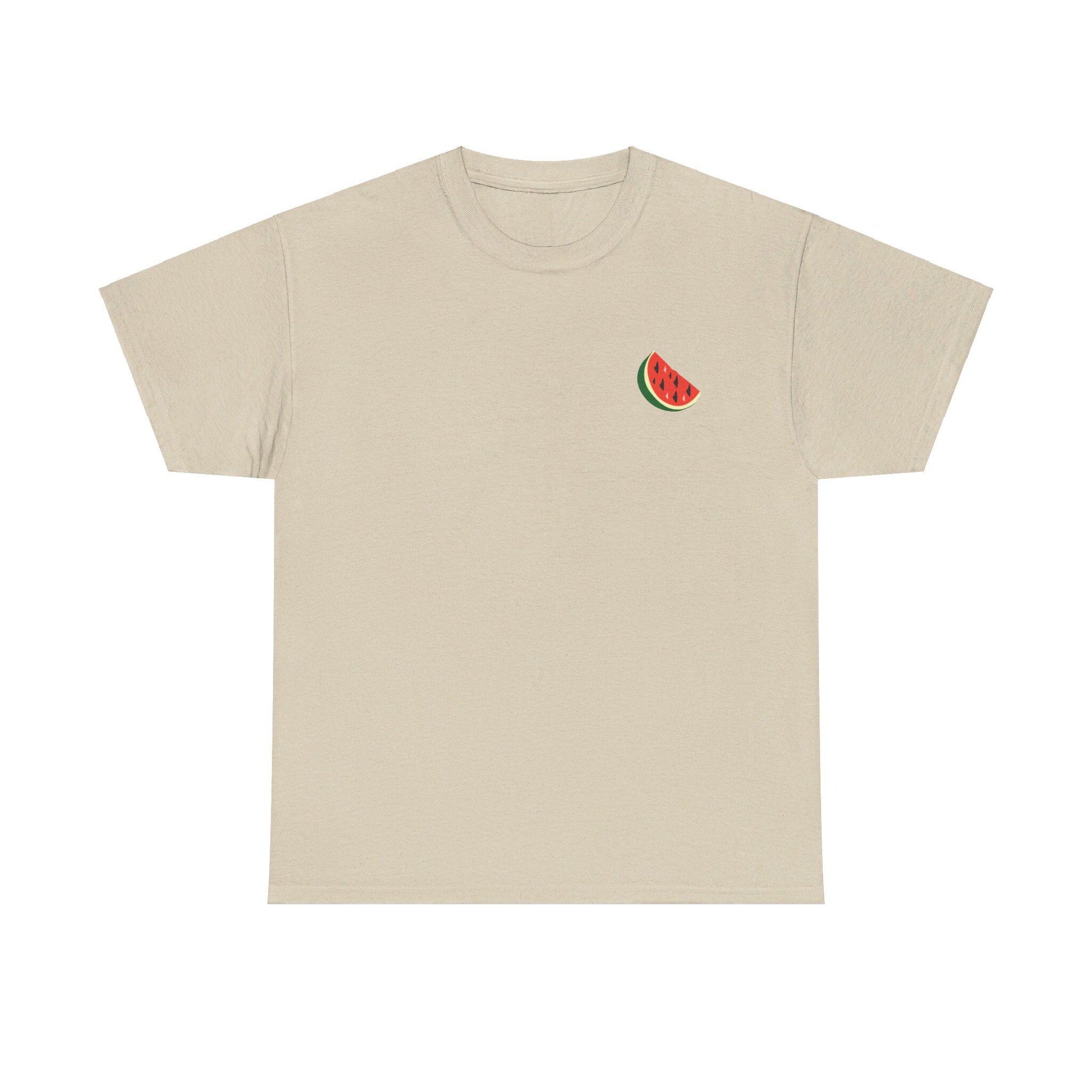 Support Palestine Tshirt, Pro Palestine Tee, Palestinian Solidarity Shirt, Free Palestine Top, Activist Apparel palestine Tshirt