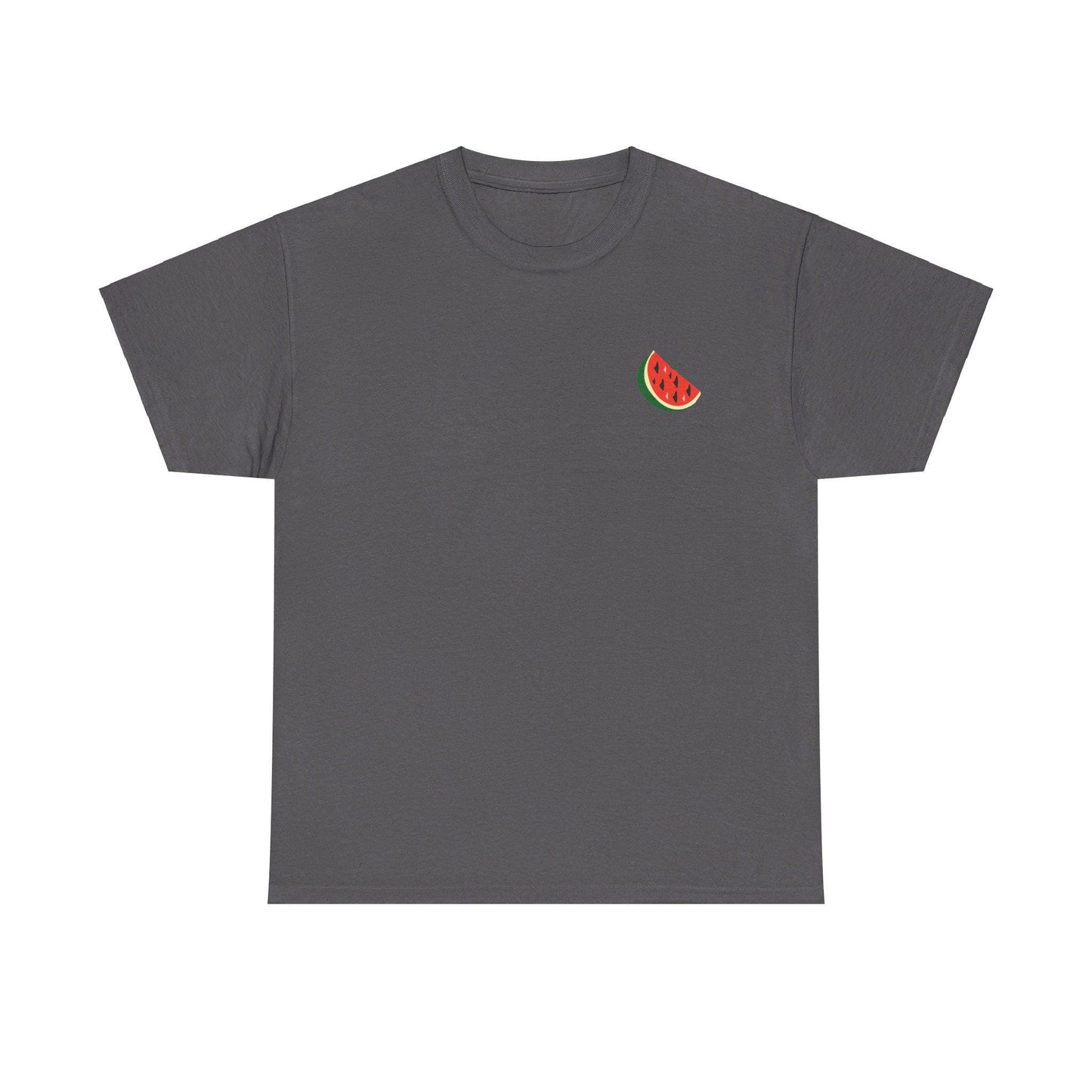 Support Palestine Tshirt, Pro Palestine Tee, Palestinian Solidarity Shirt, Free Palestine Top, Activist Apparel palestine Tshirt