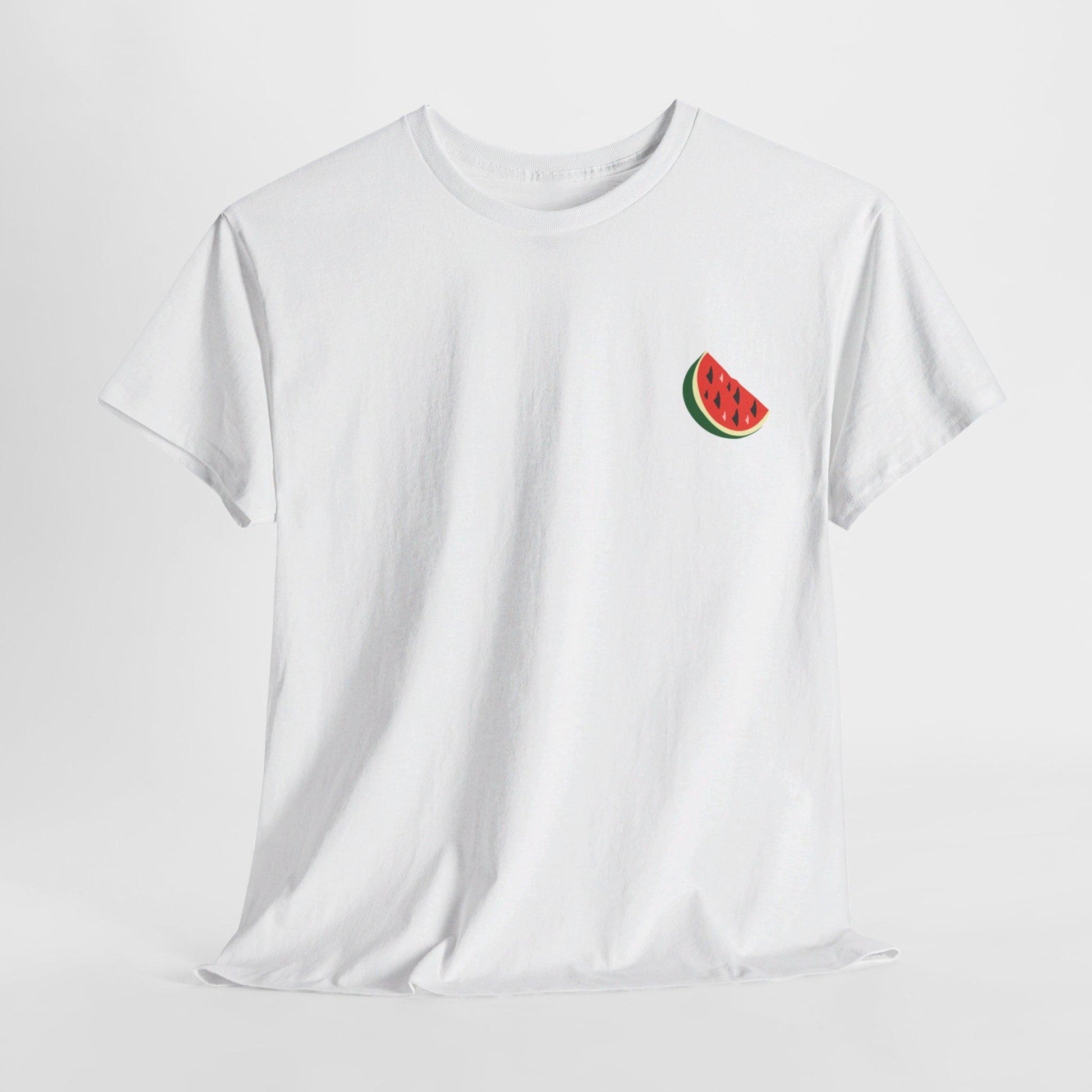 Support Palestine Tshirt, Pro Palestine Tee, Palestinian Solidarity Shirt, Free Palestine Top, Activist Apparel palestine Tshirt